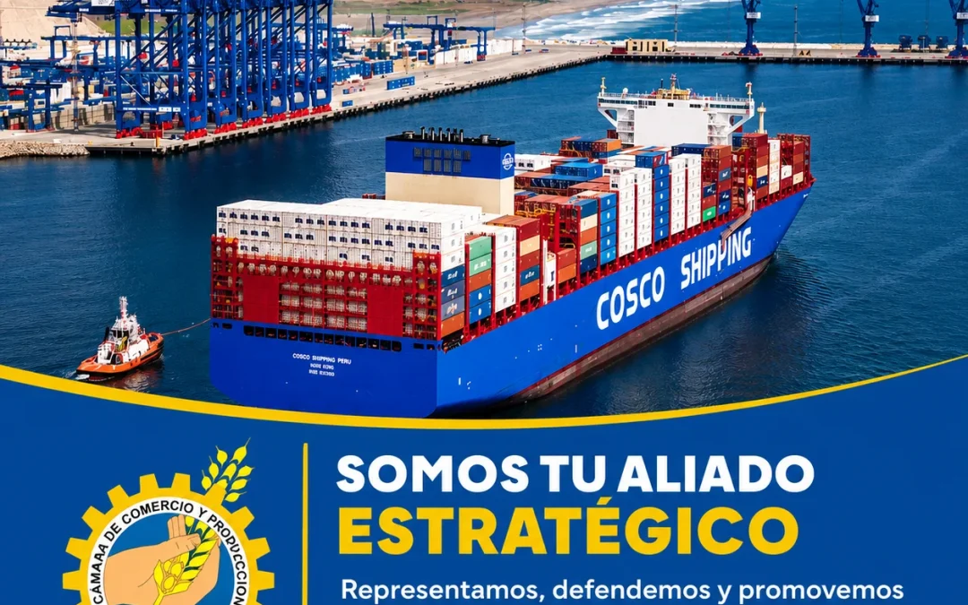 CONOCE A TU CANDIDATO